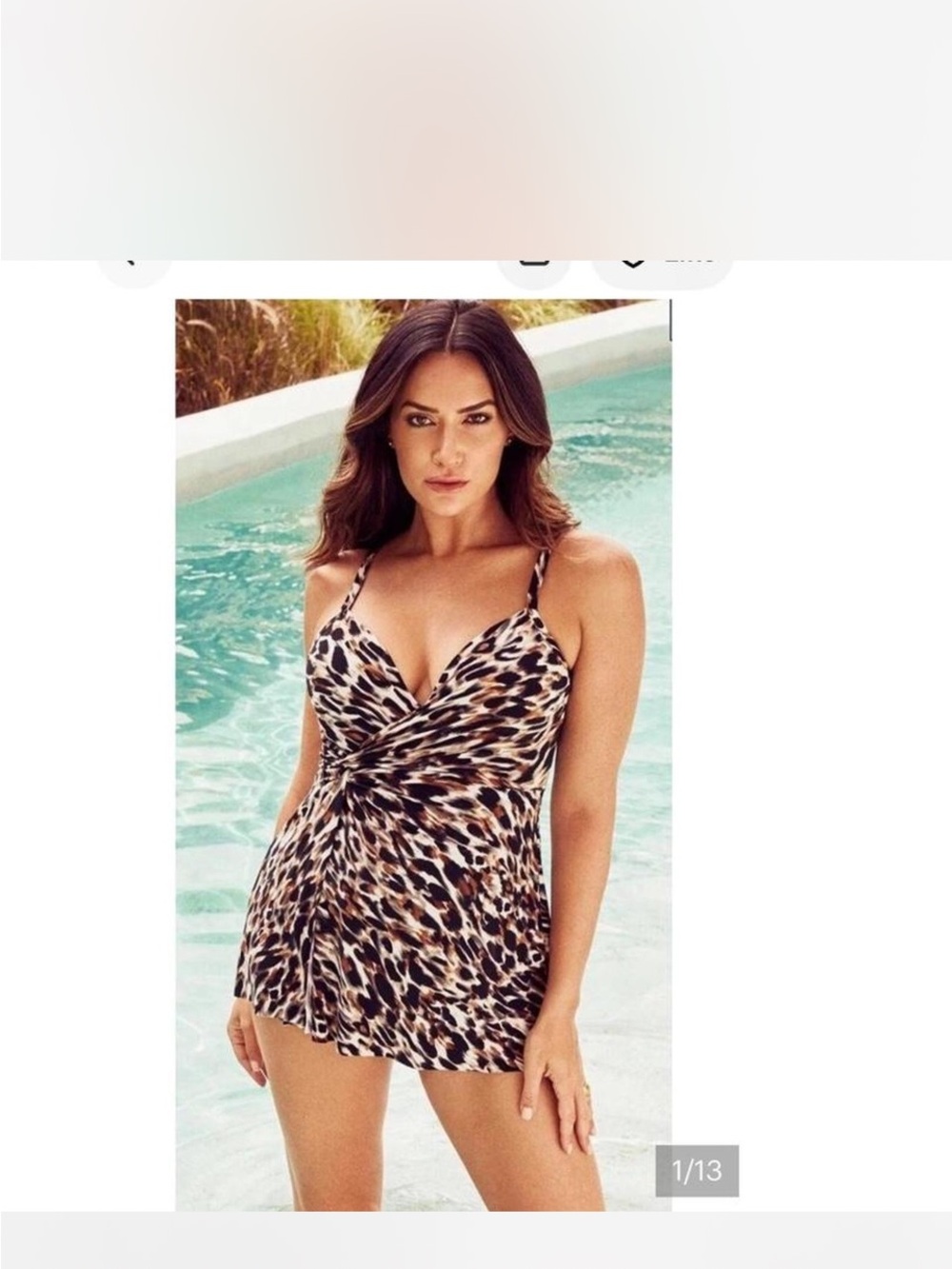 Miraclesuit Leopard-Print Swim Dress — Brown, Black & Cream Size 14 NWOT